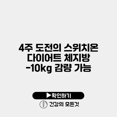 4주 도전의 스위치온 다이어트 체지방 -10kg 감량 가능?