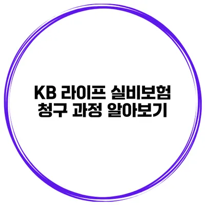 KB 라이프 실비보험 청구 과정 알아보기