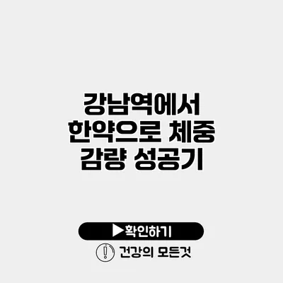 강남역에서 한약으로 체중 감량 성공기