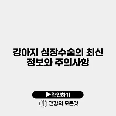 강아지 심장수술의 최신 정보와 주의사항
