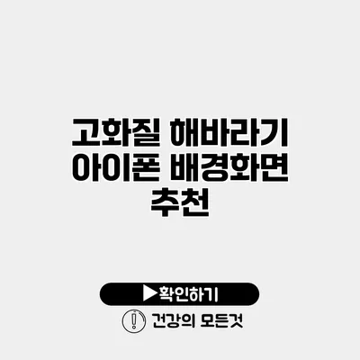 고화질 해바라기 아이폰 배경화면 추천