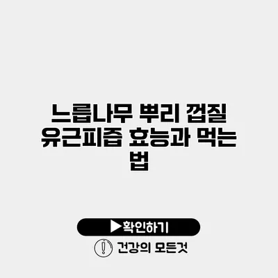 느릅나무 뿌리 껍질 유근피즙 효능과 먹는 법