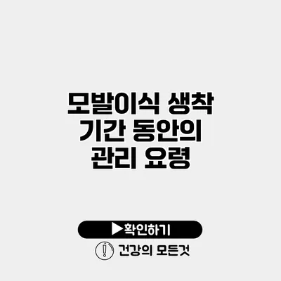 모발이식 생착 기간 동안의 관리 요령