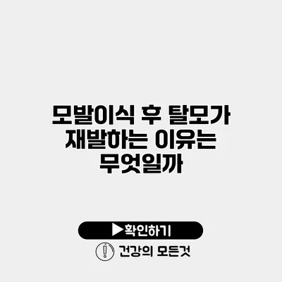 모발이식 후 탈모가 재발하는 이유는 무엇일까?