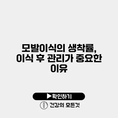 모발이식의 생착률, 이식 후 관리가 중요한 이유