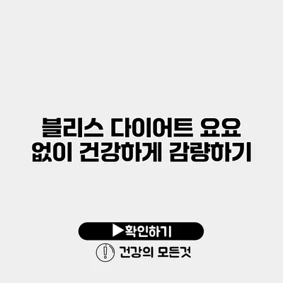 블리스 다이어트 요요 없이 건강하게 감량하기