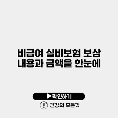 비급여 실비보험 보상 내용과 금액을 한눈에