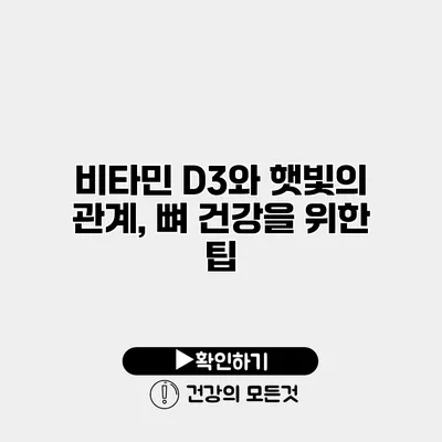 비타민 D3와 햇빛의 관계, 뼈 건강을 위한 팁