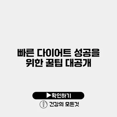 빠른 다이어트 성공을 위한 꿀팁 대공개
