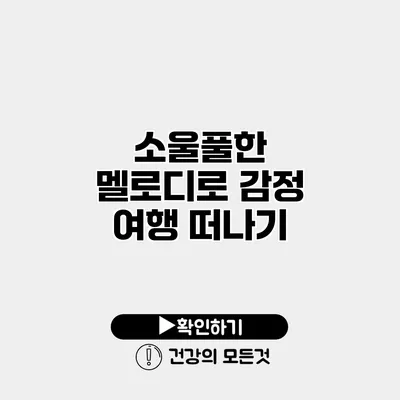 소울풀한 멜로디로 감정 여행 떠나기