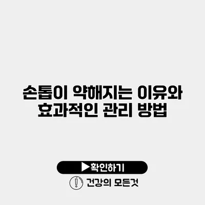 손톱이 약해지는 이유와 효과적인 관리 방법