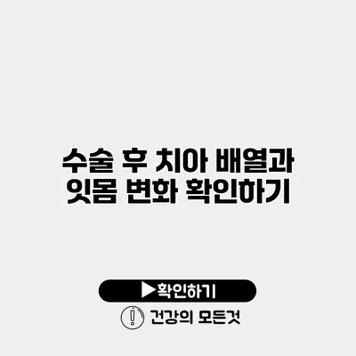 수술 후 치아 배열과 잇몸 변화 확인하기