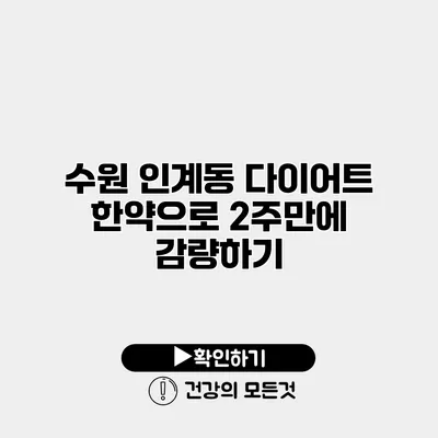 수원 인계동 다이어트 한약으로 2주만에 감량하기