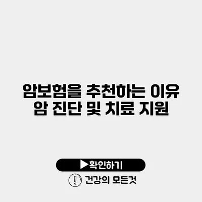 암보험을 추천하는 이유 암 진단 및 치료 지원