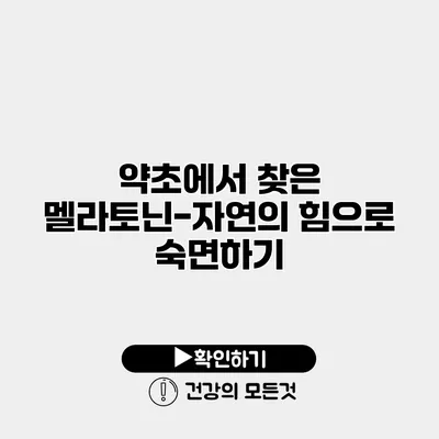 약초에서 찾은 멜라토닌-자연의 힘으로 숙면하기