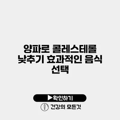 양파로 콜레스테롤 낮추기 효과적인 음식 선택