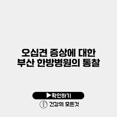 오십견 증상에 대한 부산 한방병원의 통찰