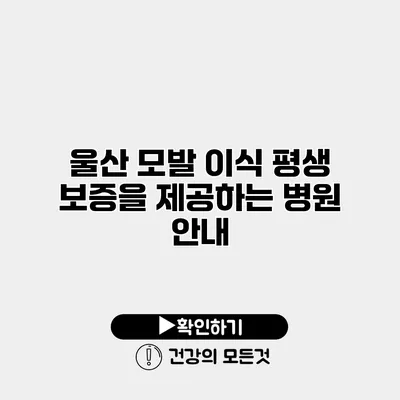 울산 모발 이식 평생 보증을 제공하는 병원 안내