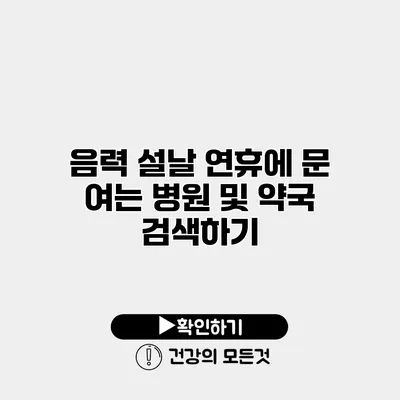음력 설날 연휴에 문 여는 병원 및 약국 검색하기