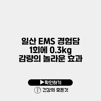 일산 EMS 경험담 1회에 0.3kg 감량의 놀라운 효과
