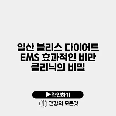 일산 블리스 다이어트 EMS 효과적인 비만 클리닉의 비밀
