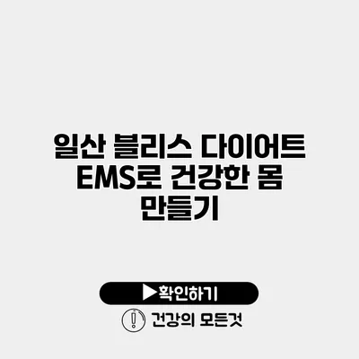 일산 블리스 다이어트 EMS로 건강한 몸 만들기