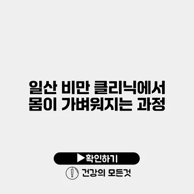 일산 비만 클리닉에서 몸이 가벼워지는 과정