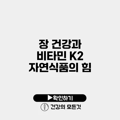 장 건강과 비타민 K2 자연식품의 힘