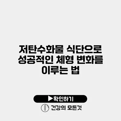 저탄수화물 식단으로 성공적인 체형 변화를 이루는 법