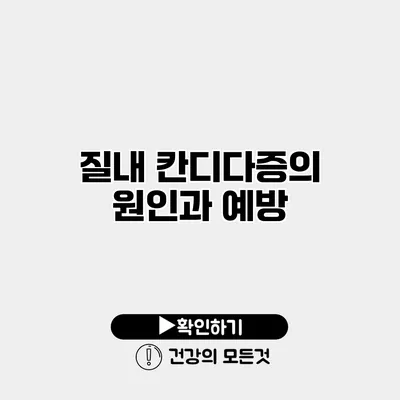 질내 칸디다증의 원인과 예방