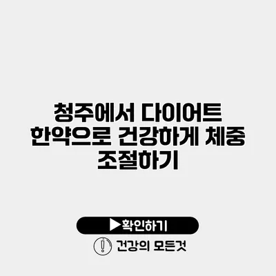 청주에서 다이어트 한약으로 건강하게 체중 조절하기