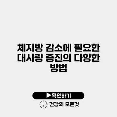 체지방 감소에 필요한 대사량 증진의 다양한 방법