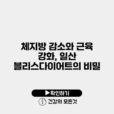 체지방 감소와 근육 강화, 일산 블리스다이어트의 비밀