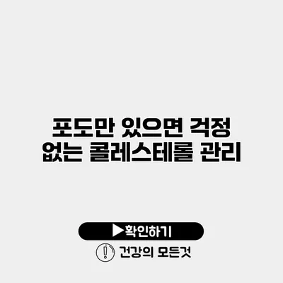 포도만 있으면 걱정 없는 콜레스테롤 관리