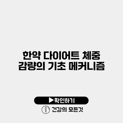 한약 다이어트 체중 감량의 기초 메커니즘