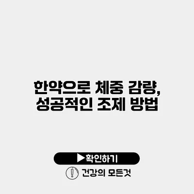 한약으로 체중 감량, 성공적인 조제 방법