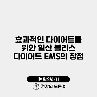 효과적인 다이어트를 위한 일산 블리스 다이어트 EMS의 장점