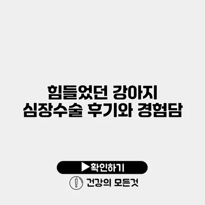 힘들었던 강아지 심장수술 후기와 경험담