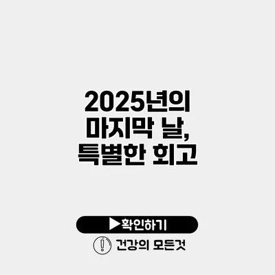 2025년의 마지막 날, 특별한 회고