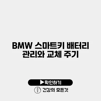 BMW 스마트키 배터리 관리와 교체 주기
