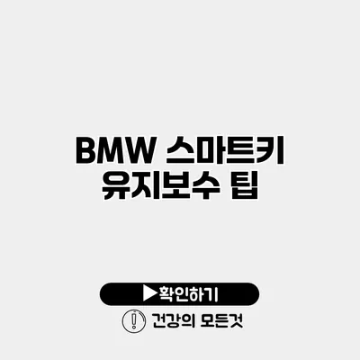 BMW 스마트키 유지보수 팁