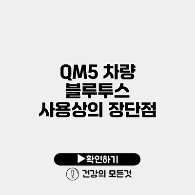QM5 차량 블루투스 사용상의 장단점