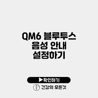 QM6 블루투스 음성 안내 설정하기