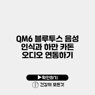 QM6 블루투스 음성 인식과 하만 카돈 오디오 연동하기