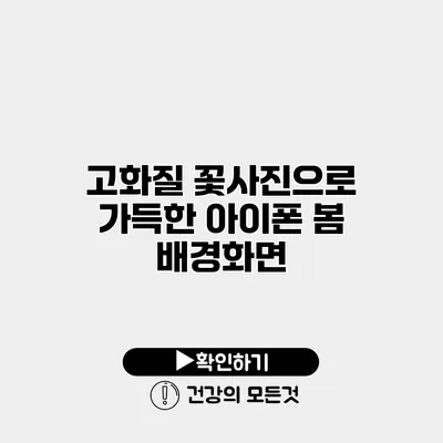 고화질 꽃사진으로 가득한 아이폰 봄 배경화면