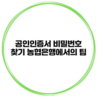 공인인증서 비밀번호 찾기 농협은행에서의 팁
