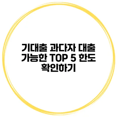 기대출 과다자 대출 가능한 TOP 5 한도 확인하기