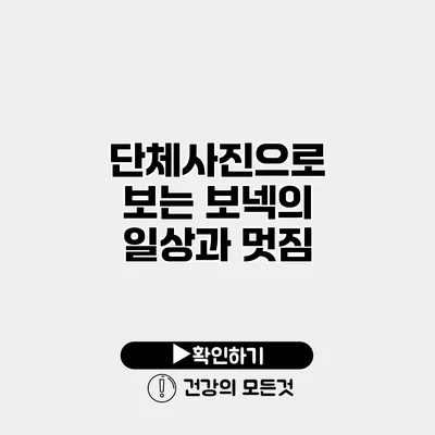 단체사진으로 보는 보넥의 일상과 멋짐
