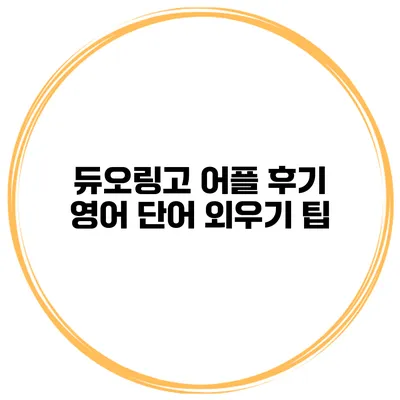 듀오링고 어플 후기 영어 단어 외우기 팁