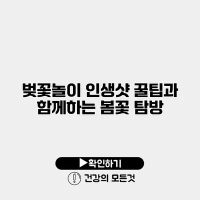 벚꽃놀이 인생샷 꿀팁과 함께하는 봄꽃 탐방